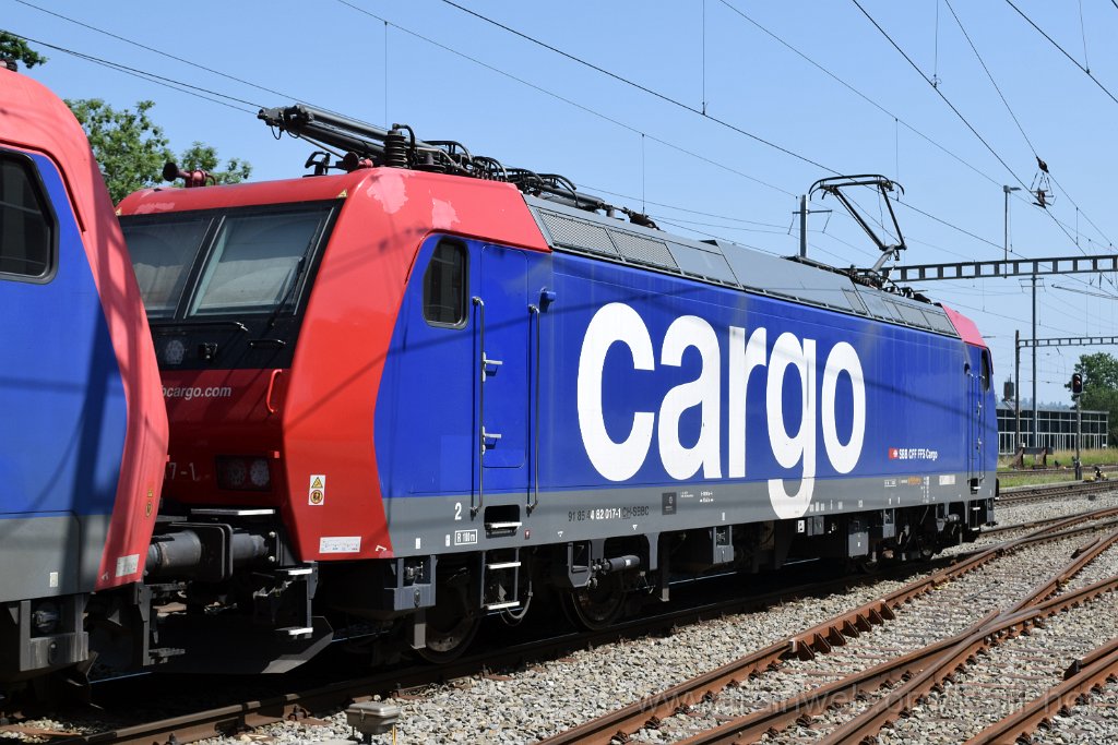 9809-0047-130625.jpg - SBB-CFF Re 482.017-1 / St.Gallen-Haggen 13.6.2025