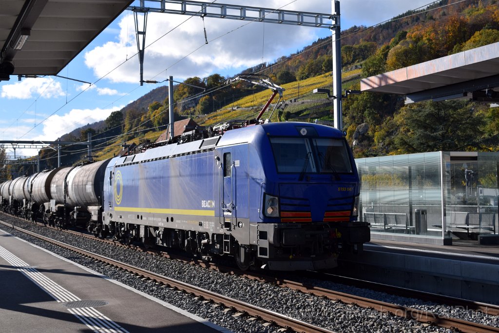 10100-0021-281025.jpg - Beacon 193.047 / Twann 28.10.2025