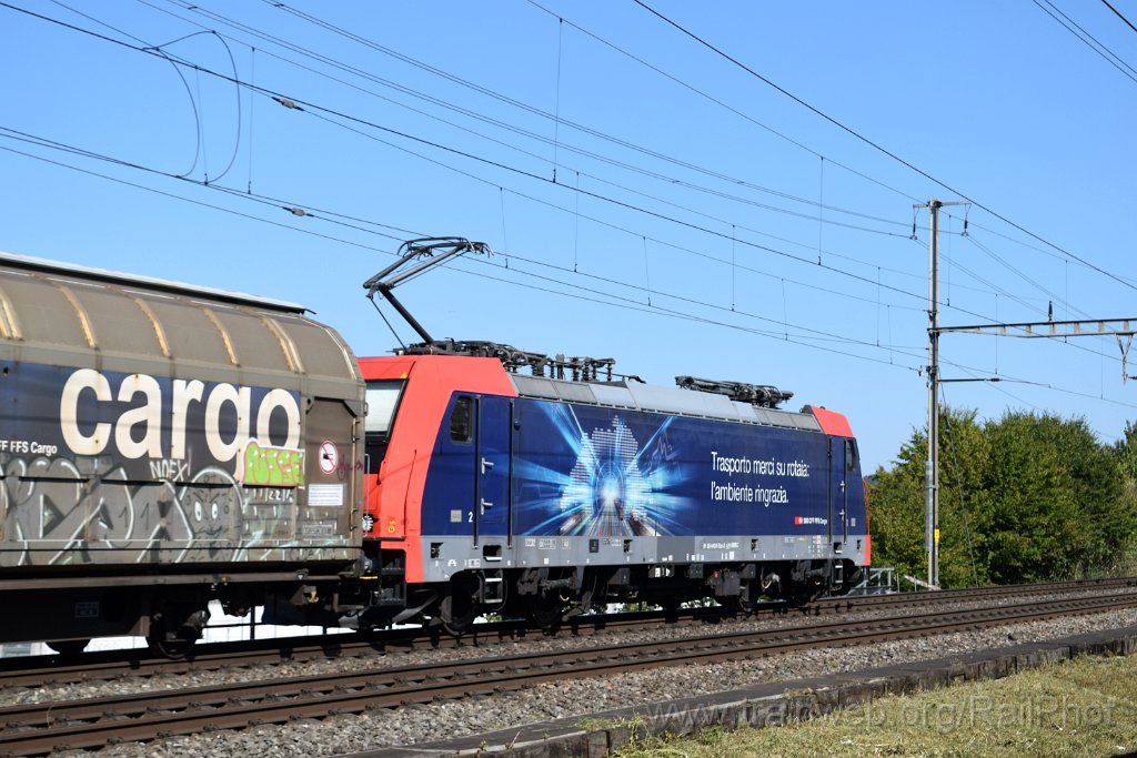 10417-0007-120826.jpg - SBB-CFF Re 484.020-3 "L'ambiente ringrazia" / Killwangen-Spreitenbach 12.8.2026