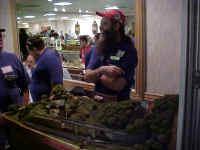 Jeff Faust brought his N gauge module with new benchwork to this show.