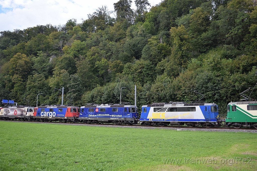 9367-0034-140924.jpg - WRS Re 420.502 (Re 91 85 4 420 502-7 CH-WRSCH) + DDF Re 421.379-9 ''Zürich-München 2021'' (Re 91 85 4 421 379-9 CH-DDF) + SBBC Re 420.160-4 (Re 91 85 4 420 160-4 CH-SBBC) + SBBC Re 420.251-1 ''175 ans de chemin de fer en Suisse'' (Re 91 85 4 420 251-1 CH-SBBC) / Aeussere Klus 14.9.2024