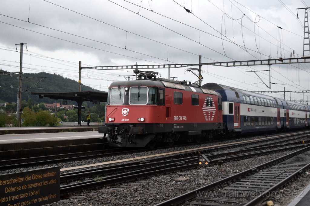 4599-0035-080817.jpg - SBB-CFF Re 420.202-4 (Re 91 85 4 420 202-4 CH-SBB) / Killwangen-Spreitenbach 8.8.2017