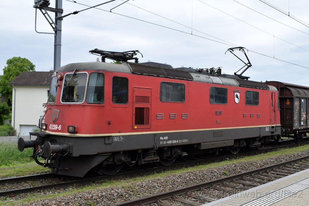 8544-0035-190523.jpg - SBBC Re 4/4'' 11239 (Re 420.239-6)  ''Porrentruy'' (Re 91 85 4 420 239-6 CH-SBBC) / Heerbrugg 19.5.2023