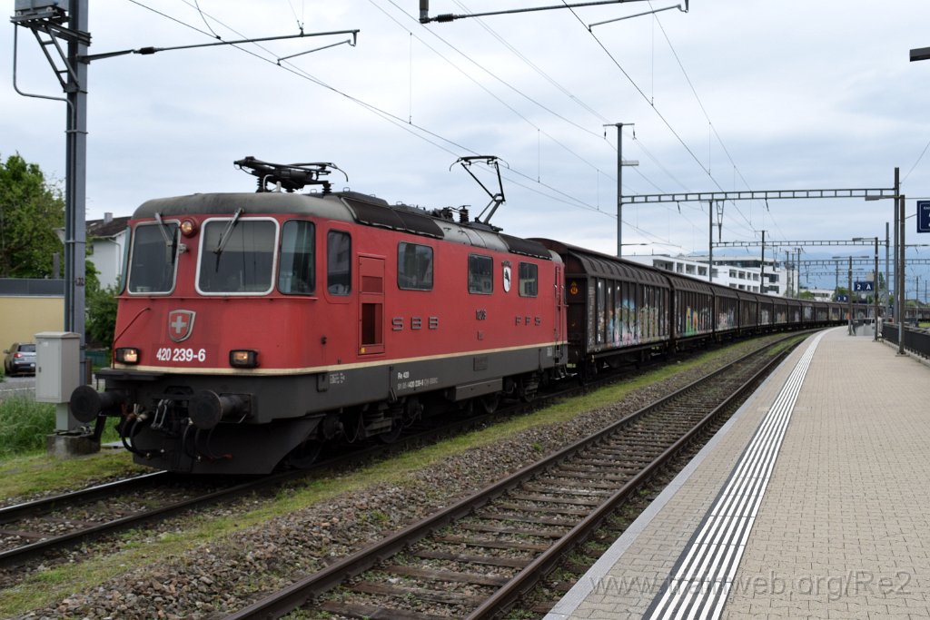 8544-0037-190523.jpg - SBBC Re 4/4'' 11239 (Re 420.239-6)  ''Porrentruy'' (Re 91 85 4 420 239-6 CH-SBBC) / Heerbrugg 19.5.2023