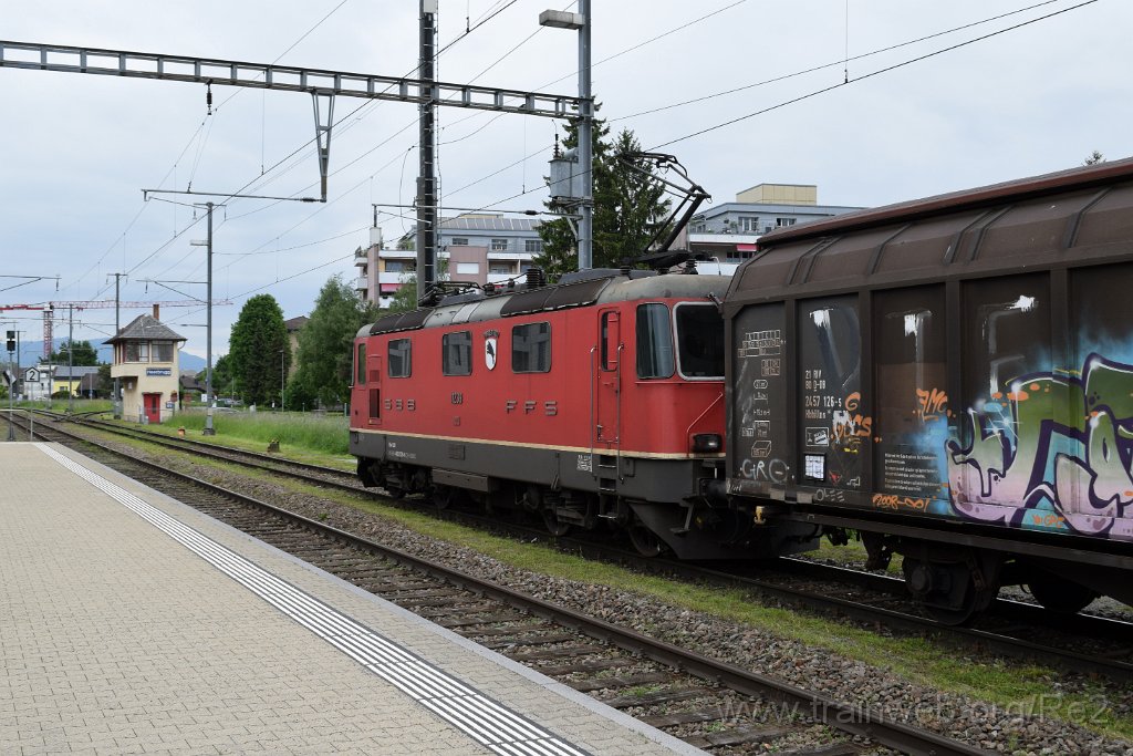 8545-0003-190523.jpg - SBBC Re 4/4'' 11239 (Re 420.239-6)  ''Porrentruy'' (Re 91 85 4 420 239-6 CH-SBBC) / Heerbrugg 19.5.2023