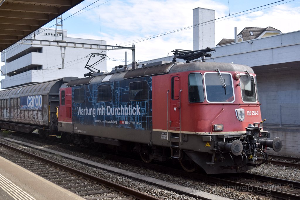 10023-0045-170925.jpg - SBBC Re 420.256-0 ''Wartung mit Durchblick'' (Re 91 85 4 420 256-0 CH-SBBC) / Killwangen-Spreitenbach 17.9.2025