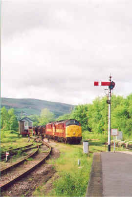 401426pf.jpg (121559 bytes)