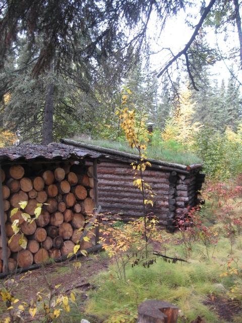 cabin b
