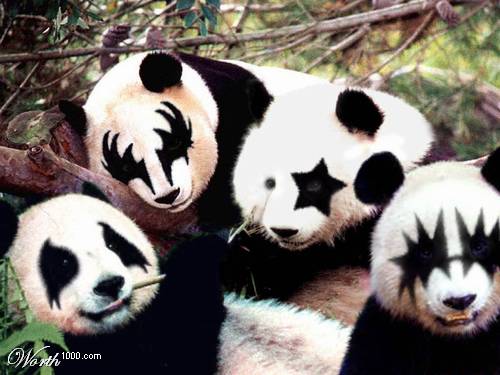 [Kiss! Pandas]
